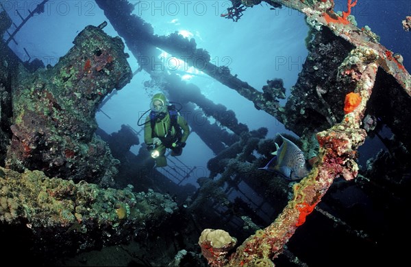 Diver on the Umbria shipwreck, Sudan, Africa, Red Sea, Wingate Reef, Africa