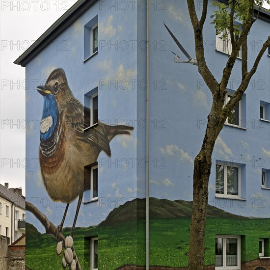 Residential buildings with a bluethroat as a mural after renovation, Bochum-Hamme, Ruhr area, North Rhine-Westphalia, Germany, Europe