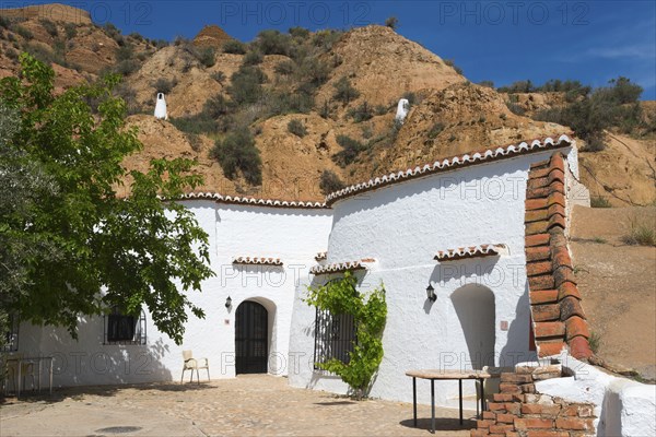 White building with rock wall, tree, and rustic outdoor furniture under a sunny blue sky, cave hotel Pedro Antonio de Alarcon, Guadix, Granada province, Andalusia, Spain, Europe