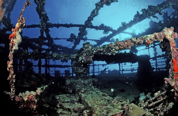 Diver on the Umbria shipwreck, Sudan, Africa, Red Sea, Wingate Reef, Africa