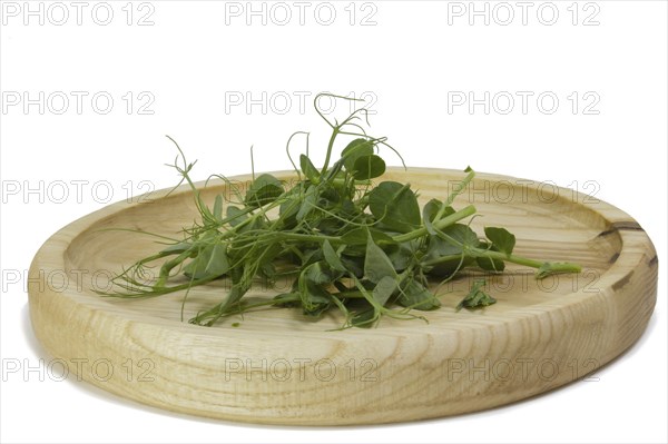 Pea sprouts microgreens in a wooden bowl. Green shoots of yak, young plants, sprouts of a tasty and useful plant. Macro photo of food close-up on white background, side view