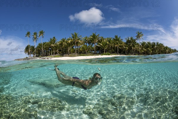 Snorkelling off Palm Island, Fadol, Kai Islands, Moluccas, Indonesia, Asia