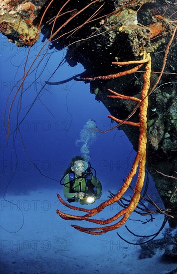 Diver at the Hilma Hooker shipwreck, Netherlands Antilles, Bonaire, Caribbean, Caribbean Sea