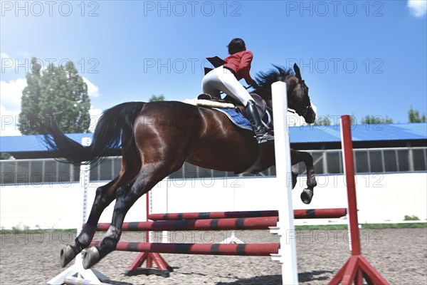 Young female jockey on horse leaping over hurdle