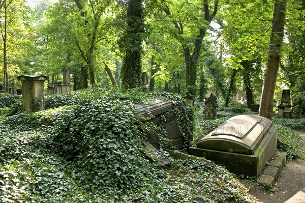 Eliasfriedhof is the oldest preserved cemetery in Dresden and is considered the city's most culturally and historically significant cemetery. The burial site in the Pirnaische Vorstadt, which has been disused since 1876 and was closed by the building authorities in 1928, is a listed building and is now looked after by an association