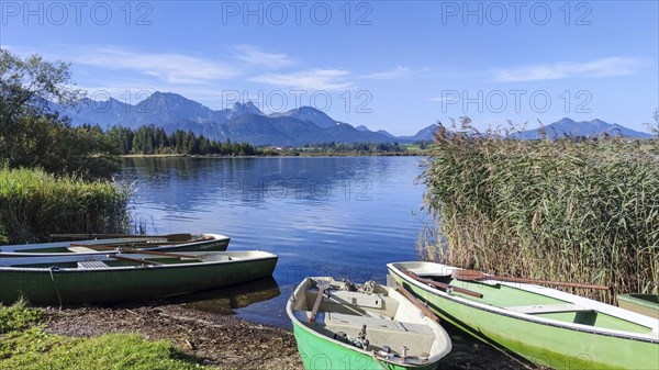 Rowing boats on Lake Hopfensee, Hopfen am See, near Füssen, Allgäu Alps, East Allgäu, Allgäu, Bavaria, Germany, Europe