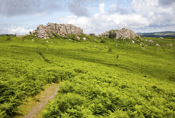 Granite upland landscape Greator Rocks, Dartmoor national park, Devon, England, UK