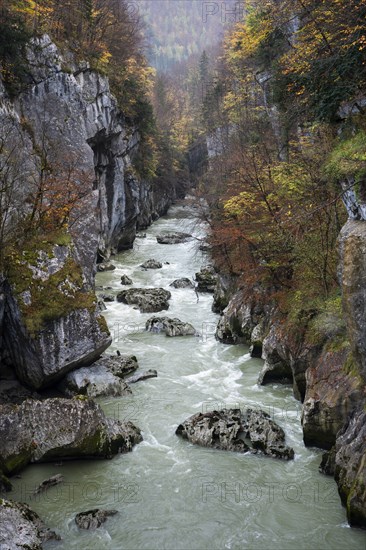 View from the Salzach bridge to the river Salzach and the Salzach gorge (Salzachöfen), autumn. Trees in autumn colours.Tennengebirge and Hagengebirge, Salzburger Land, Upper Austria, Austria, Europe