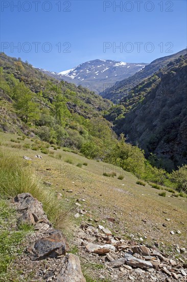 Landscape of the River Rio Poqueira gorge valley, High Alpujarras, Sierra Nevada, Granada Province, Spain, Europe