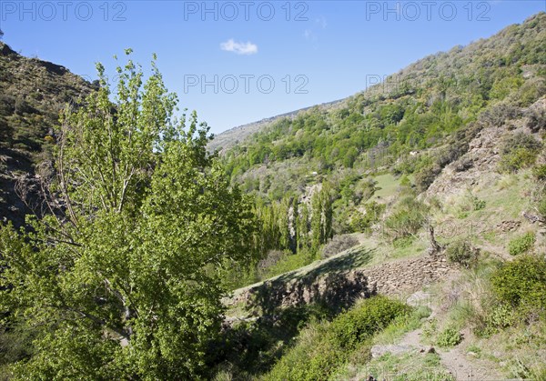 Landscape of the River Rio Poqueira gorge valley, High Alpujarras, Sierra Nevada, Granada Province, Spain, Europe