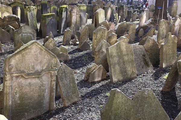 The Old Jewish Cemetery in the Josefov district is one of the most historically significant Jewish cemeteries in Europe. It contains over 12, 000 gravestones and presumably the remains of 100, 000 people, Prague, Czech Republic, Europe