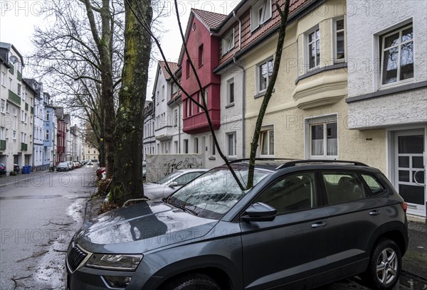 North Rhine-Westphalia, Germany, storm damage, a good 4 metre long branch was broken off by the storm during storm Zoltan and smashed through the windscreen of a parked vehicle, Essen, Europe