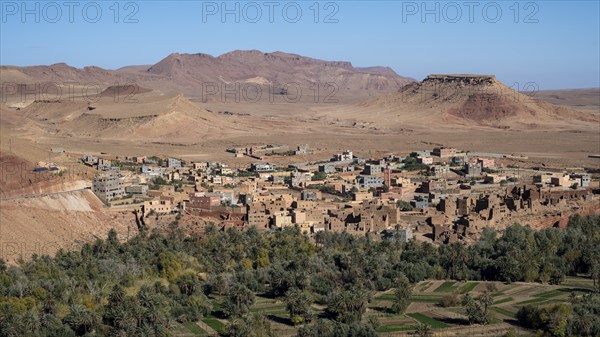 Oasis with traditional mud houses and date palms, on the edge of the Todra Gorge or Gorges du Toudra, near Tinghir, Morocco, Africa