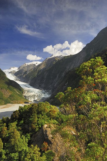 View from Sentinel Rock to Franz Josef Glacier, Westland National Park, South West New Zealand World Heritage Site, Southern Alps, West Coast, South Island New Zealand, Franz Josef Glacier, Southern Alps, New Zealand, Oceania