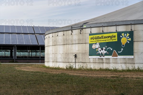 Farm with biogas plant, slurry energy, cowshed with solar roof, near Straelen, Lower Rhine North Rhine-Westphalia, Germany, Europe