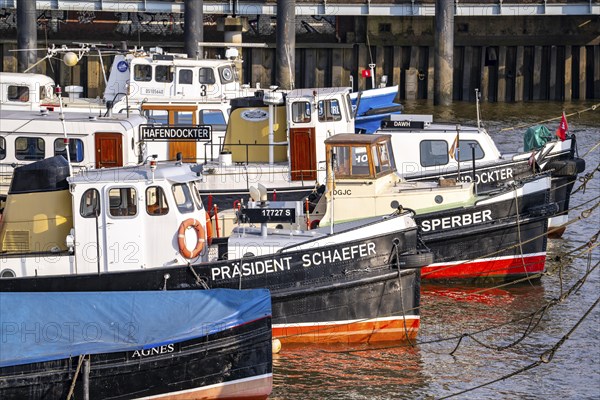 The Övelgönne district of Othmarschen, on the Elbe, museum harbour, historic ships and boats, Hamburg, Germany, Europe