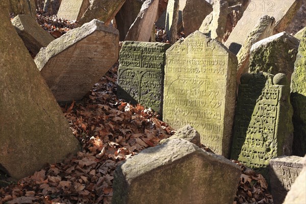 The Old Jewish Cemetery in the Josefov district is one of the most historically significant Jewish cemeteries in Europe. It contains over 12, 000 gravestones and presumably the remains of 100, 000 people, Prague, Czech Republic, Europe