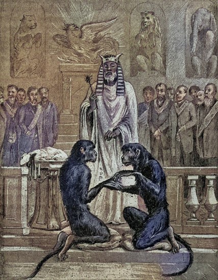 Die Opferung des Lammes während der Hochzeit der Affen From the book Der Freimaurer by Eugen Lennhoff, published 1932, Sacrificing the Lamb during the Marriage of the Apes From the book The Freemason by Eugen Lennhoff published 1932, Historic, digitally restored reproduction from a 19th century original, Record date not stated