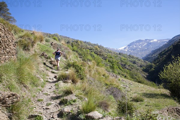 Woman hiker walking in the River Rio Poqueira gorge valley, High Alpujarras, Sierra Nevada, Granada Province, Spain, Europe