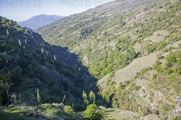 Landscape of the River Rio Poqueira gorge valley, High Alpujarras, Sierra Nevada, Granada Province, Spain, Europe