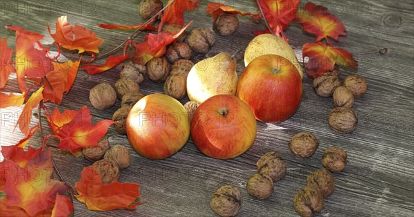 Apples, pears and walnuts on a rustic wooden table as an autumnal motif