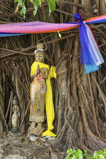 Buddhist figure in front of a tree on Phi Phi Island, wood, carving, wooden figure, Buddhism, faith, praying, praying, sculpture, statue, religion, world religion, icon, female, sculpture, respect, Siam, Asian, history, culture, cultural history, figure, temple, temple figure, idolise, tree, Thailand, Asia