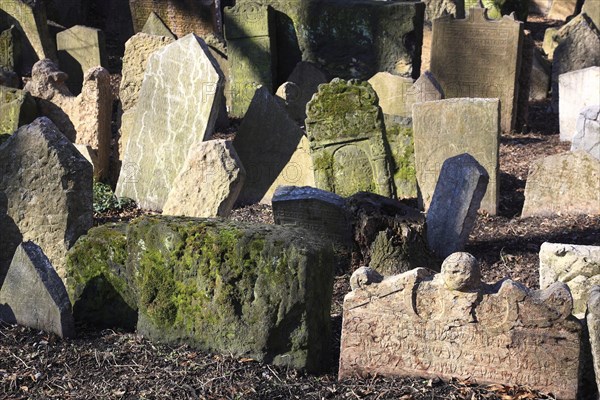 The Old Jewish Cemetery in the Josefov district is one of the most historically significant Jewish cemeteries in Europe. It contains over 12, 000 gravestones and presumably the remains of 100, 000 people, Prague, Czech Republic, Europe