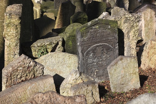 The Old Jewish Cemetery in the Josefov district is one of the most historically significant Jewish cemeteries in Europe. It contains over 12, 000 gravestones and presumably the remains of 100, 000 people, Prague, Czech Republic, Europe