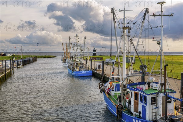 Siel harbour with shrimp boats and Kleiner Preusse lighthouse, Wremen, Wurster North Sea coast, Land Wursten, Cuxland, Lower Saxony, Germany, Europe