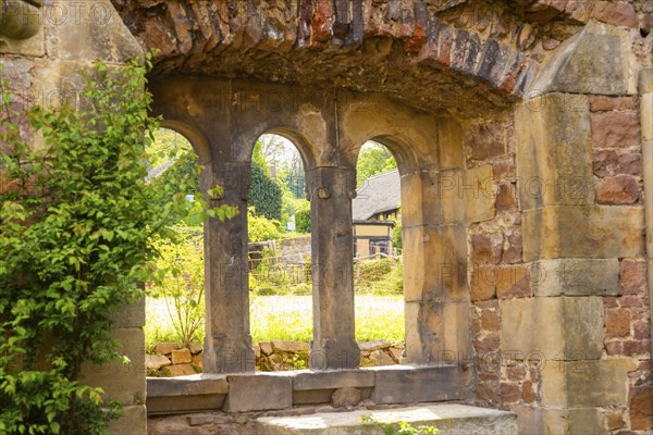 At the end of the 12th century, Dietrich the Afflicted, Margrave of Meissen, donated a convent in Meissen to the Benedictine nuns, which was consecrated to the Holy Cross. Its buildings were initially located between Burgberg and the Elbe on the site of a former moated castle. In 2004, the Hahnemann Centre undertook further renovation work on the buildings. Today it serves as a venue for events and has an extensive monastery garden, Meissen, Saxony, Germany, Europe