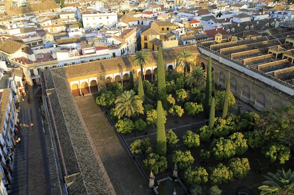 Raised angle view of Great Mosque courtyard gardens, Mezquita cathedral, Cordoba, Spain, Europe