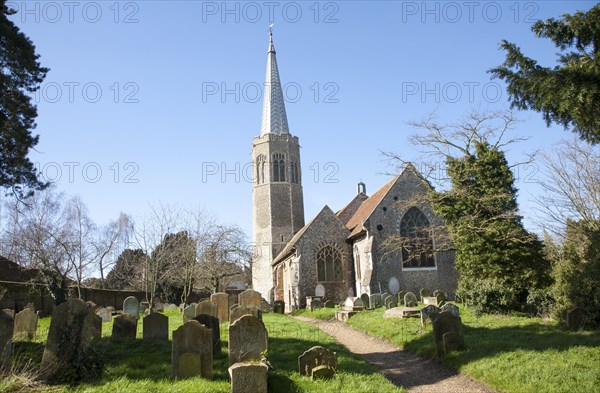 The octagonal tower of All Saints church, Wickham Market, Suffolk, England, United Kingdom, Europe