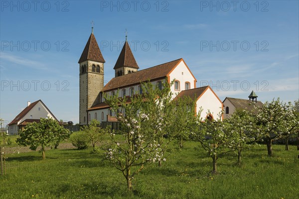 Collegiate Church of St Peter and Paul, Niederzell, UNESCO World Heritage Site, Reichenau Island, Lake Constance, Baden-Württemberg, Germany, Lake Constance, Baden-Württemberg, Germany, Europe