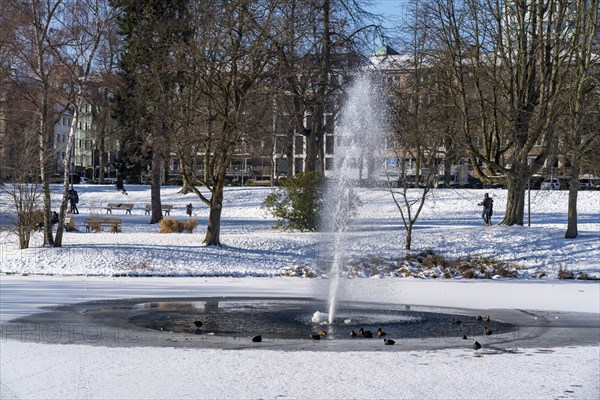 Winter weather in the Ruhr area, Stadtgarten Essen, municipal park in the city centre, snow-covered, frozen pond, Essen, North Rhine-Westphalia, Germany, Europe