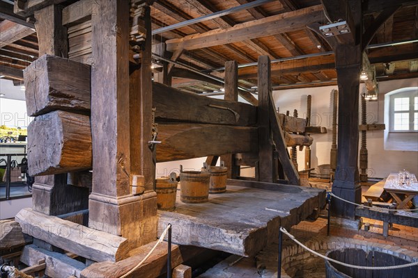 A wine press, wine press, wine press, juice press with an approximately 11 metre long wine press tree in the historic wine press house, built around 1706, Salem Castle, former imperial abbey, former monastery of the Cistercian order, Salem, Lake Constance, Lake Constance district, Baden-Württemberg, Germany, Europe