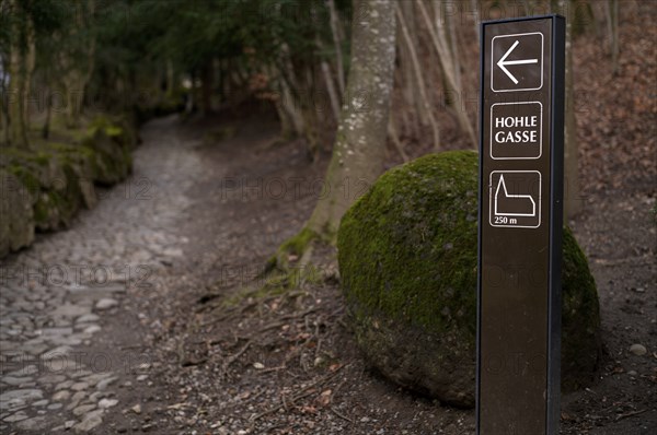 Signpost to Tell's Chapel and Hohle Gasse, artificial hollow path between Immensee and Küssnacht am Rigi SZ, drama William Tell by Friedrich Schiller, Canton Schwyz, Switzerland, Europe