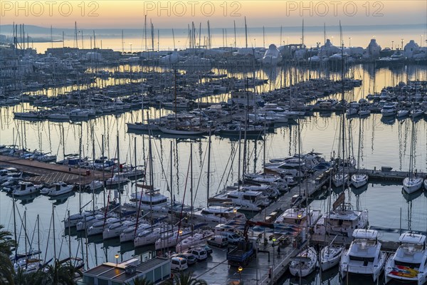 Palma de Majorca, Bay of Palma, marina Port de Majorca, sailing boats and motor yachts Balearic Islands, Spain, Europe