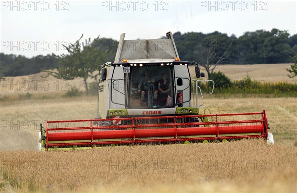 Combine harvester harvesting grain on an organic farm, Müncheberg, 28/07/2020