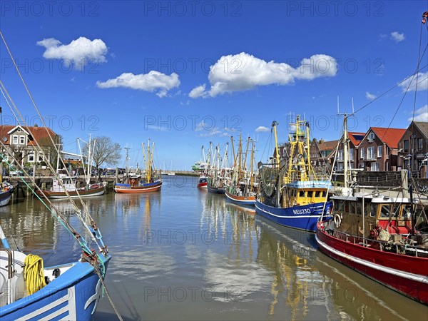 Crab cutter, harbour, Neuharlingersiel, East Frisia, Germany, Europe