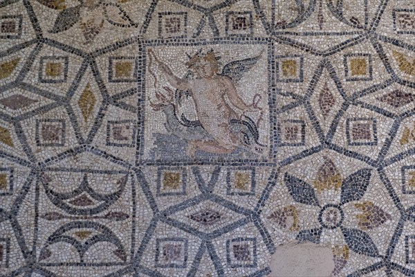 Floor mosaic, Archaeological Museum, former hospital of the Order of St John, 15th century, Old Town, Rhodes Town, Greece, Europe