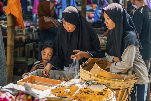 Traditional authentic food market, vendor, woman, fruit, vegetable, fresh, food, nutrition, sale, trade, bazaar, authentic, disease vector, food law, food control, stall, Asian, vegetable market, local, hygiene, virus, tradition, traditional, health, marketplace, market hall, tropical, travel, tourism, culture, poverty, presentation, cleanliness, person, family, Muslim, Islam, Lombok, Indonesia, Asia