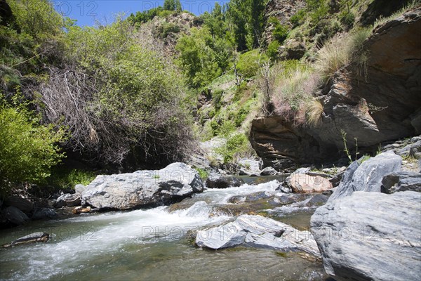 Rapids in the channel of the River Rio Poqueira gorge valley, High Alpujarras, Sierra Nevada, Granada Province, Spain, Europe