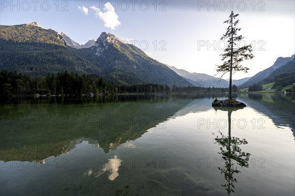 Hochkalter reflected in Hintersee, at sunset, Berchtesgaden National Park, Ramsau, Upper Bavaria, Bavaria, Germany, Europe