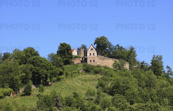 Castle ruins on the Schlossberg, Königsberg in Bavaria, Königsberg i.Bay, town in the district of Haßberge, Lower Franconia, Bavaria, Germany, Europe