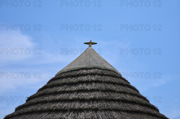 Traditional thatched roof in front of a clear blue sky with light clouds, summer, Saintes-Maries-de-la-Mer, Camargue, France, Europe