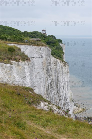 View of chalk cliffs with bushes and trees and a tower in the background and the sea below, White cliffs of Dover, St Margaret's Bay or Saint Margarets at Cliffe, Kent, England, English Channel, United Kingdom, Europe