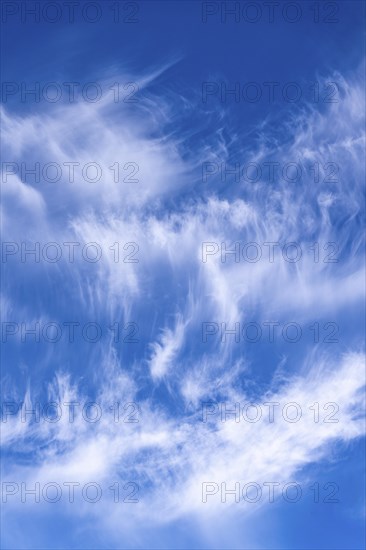 Cirrus clouds, ice clouds at high altitude, also known as feather clouds