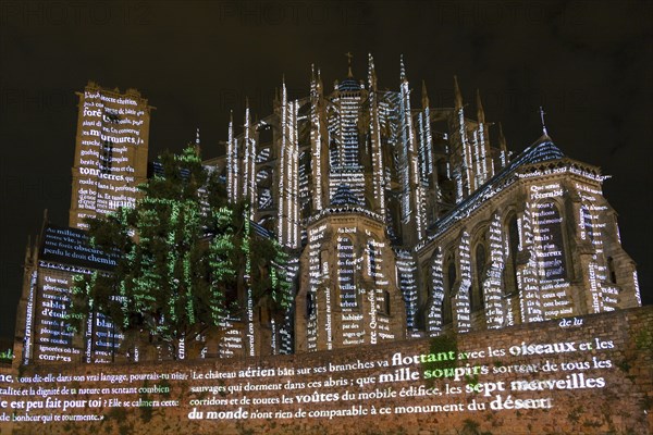 'Night of the Chimeras', Le Mans, Sarthe, Pays de la Loire, France, Europe