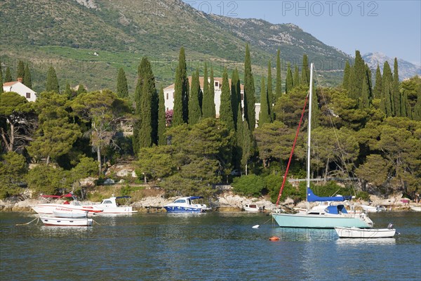 Port of Cavtat, Dubrovnik Riviera, Dalmatian coast, Croatia, Europe