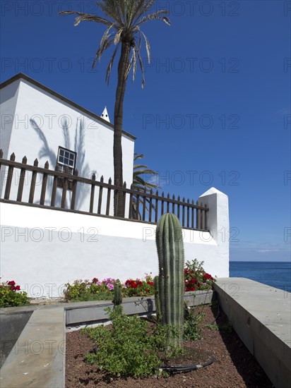 White house next to a cactus and a palm tree, with flowers and a blue sky in the background, puerto de la cruz, tenerife, spain